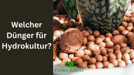 Welchen Dünger für Hydrokultur? - Flora Boost