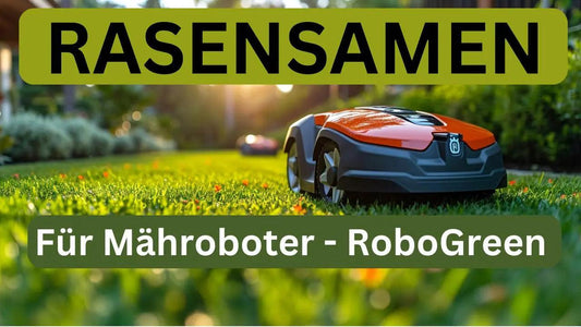 Welcher Rasensamen für Mähroboter? - Flora Boost