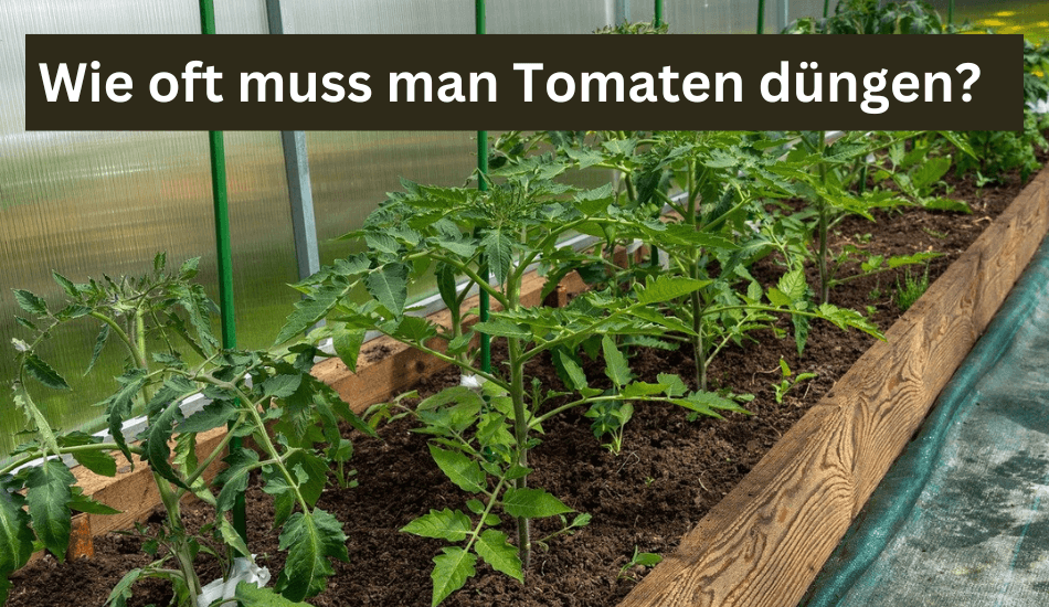 kokoserde düngen Hesi Coco, Kokos Dünger / 1L / 5L main image 0