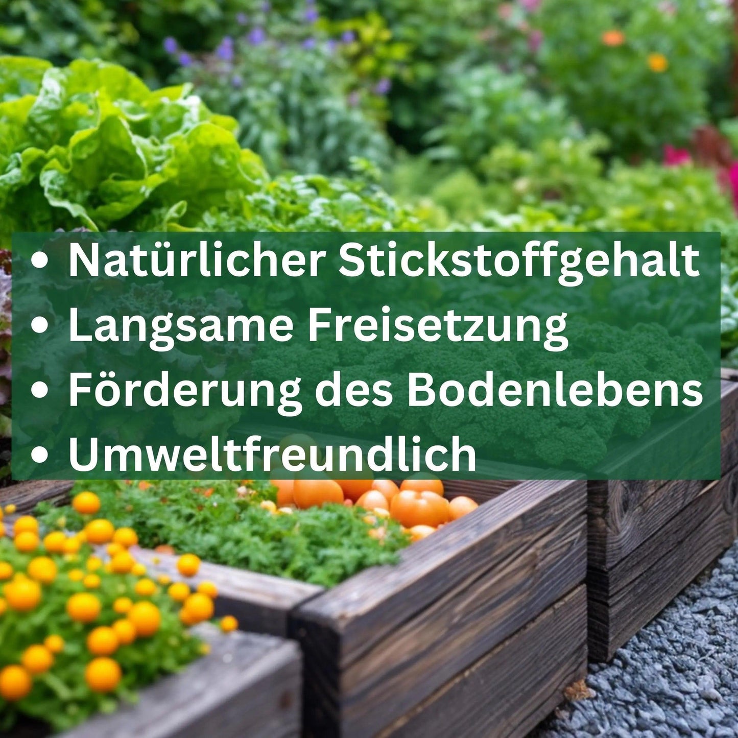 Hornspäne Horndünger Naturdünger biologischer Anbau von Flora Boost - Flora Boost