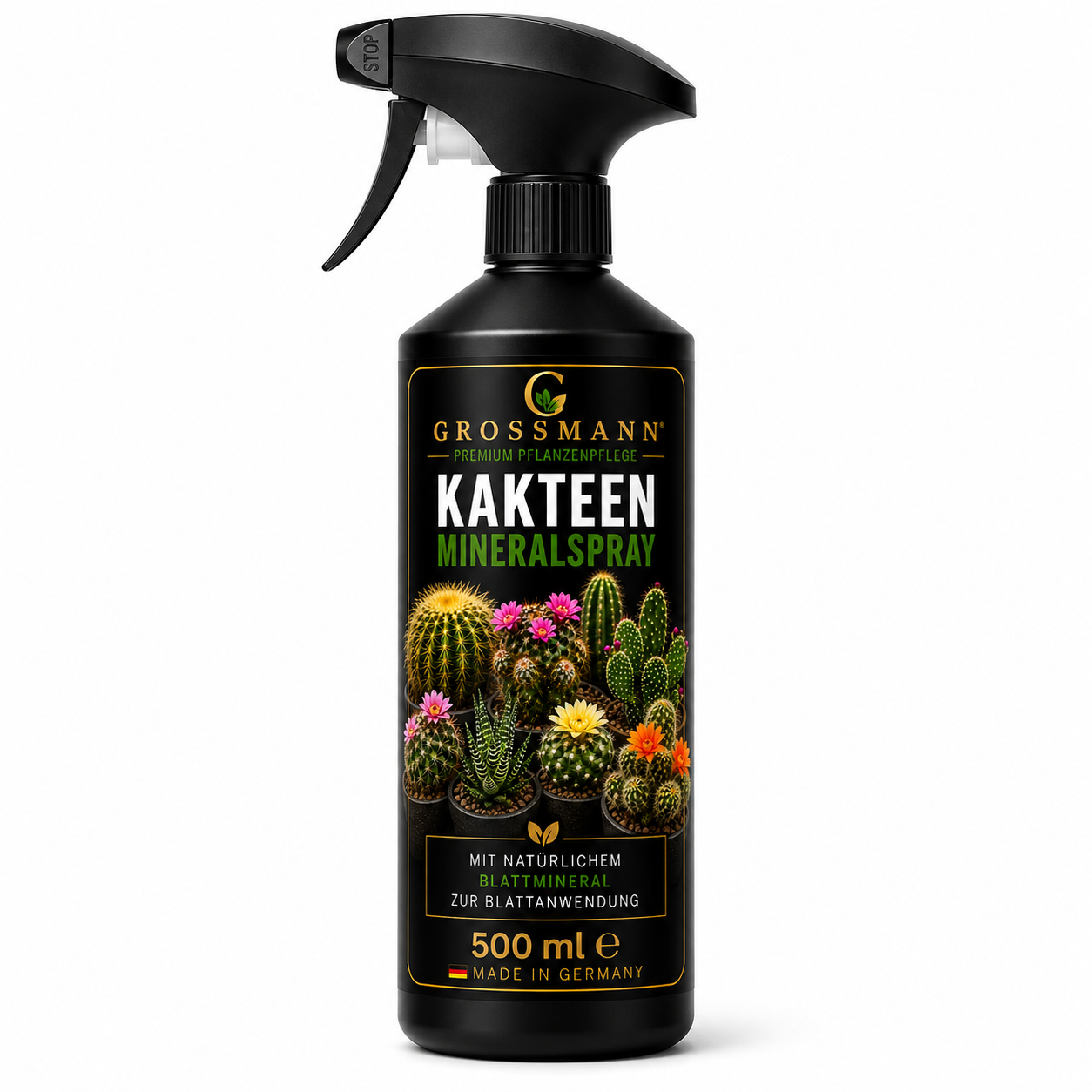 Kakteen & Sukkulenten Mineralspray 500 ml – Epidermis-Pflege | Grossmann Pflanzenpflege