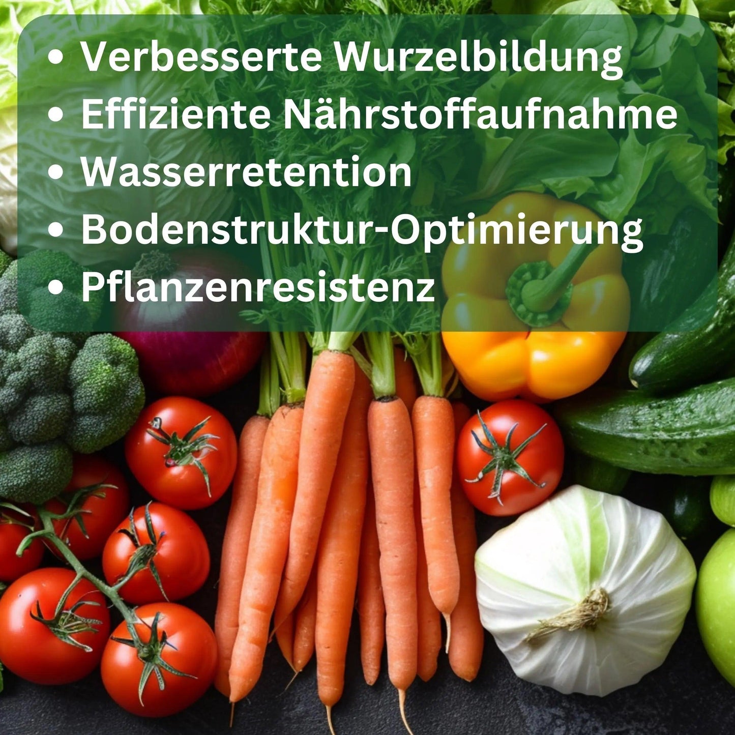 Mykorrhiza Pilze Granulat Bioaktivator Gemüsedünger Wurzeldünger von Flora Boost - Flora Boost