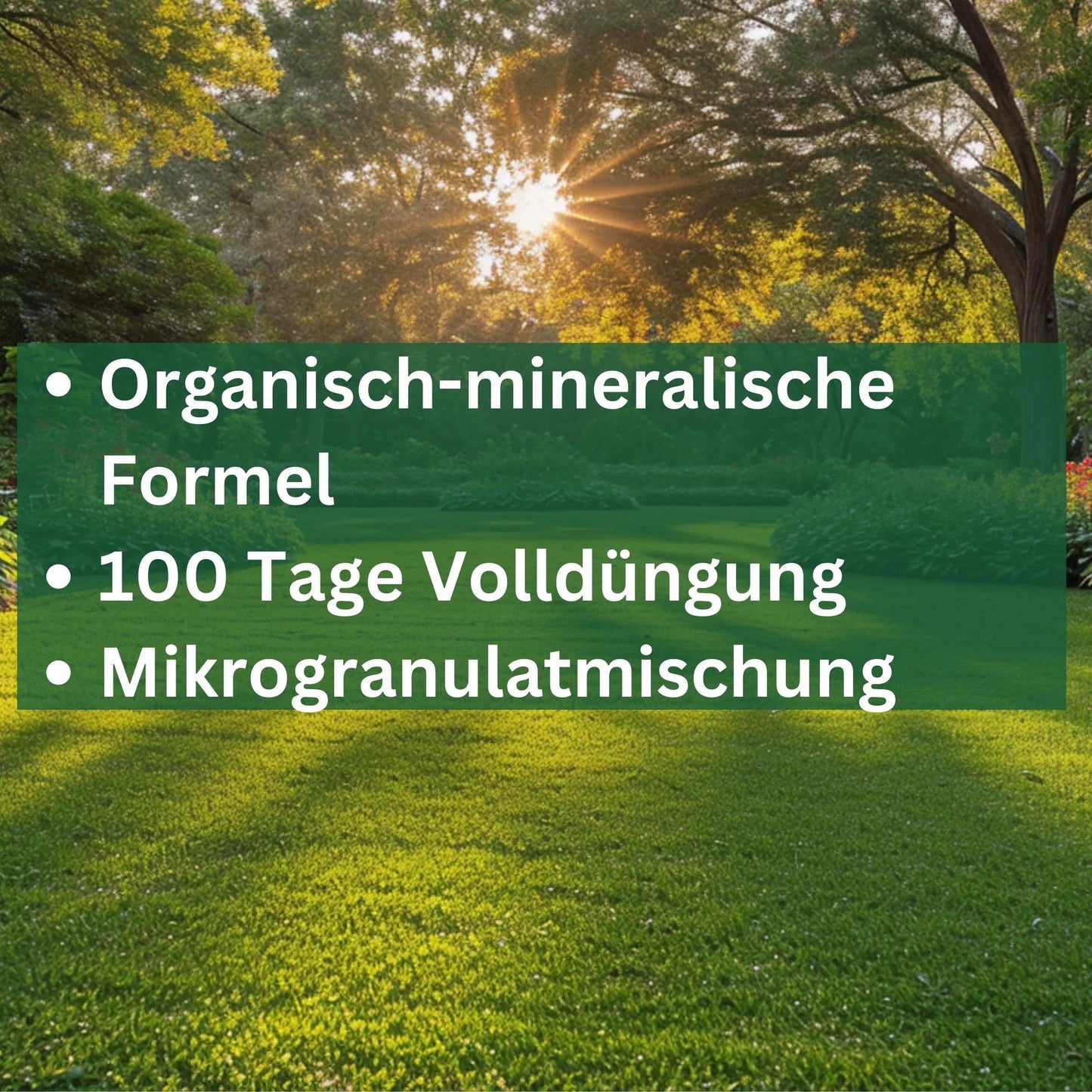Rasendünger GrünBoost auch gegen Moos und Unkraut im Rasen von Flora Boost - Flora Boost