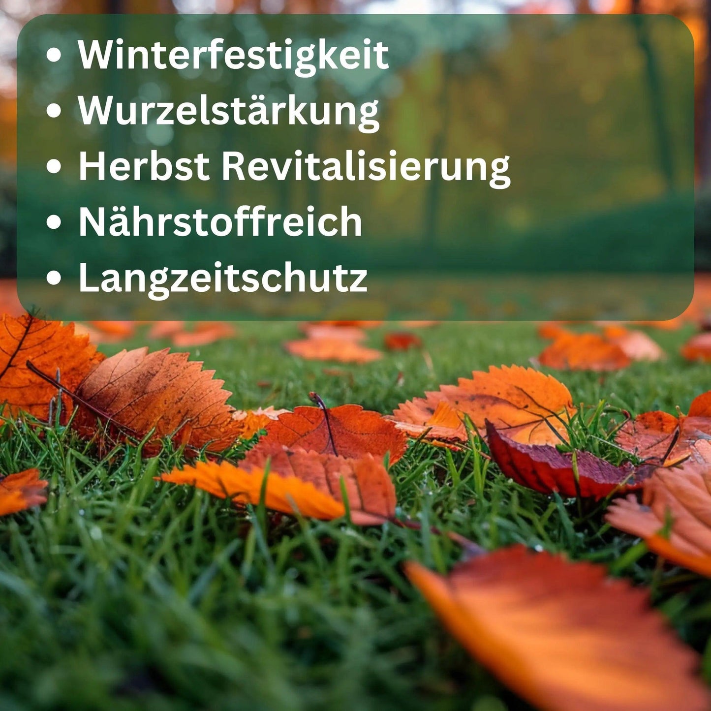 Rasendünger Herbst Vital von Flora Boost - Flora Boost