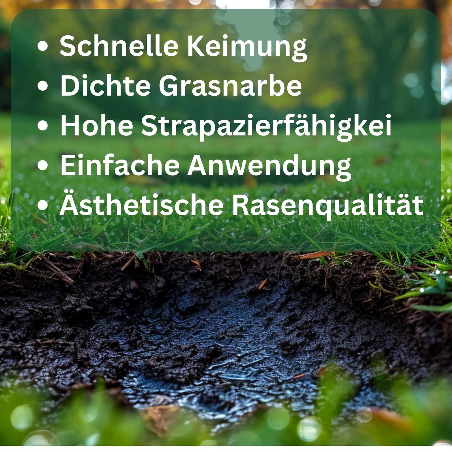Rasensamen Lückenfüller Reparatur von Flora Boost - Flora Boost