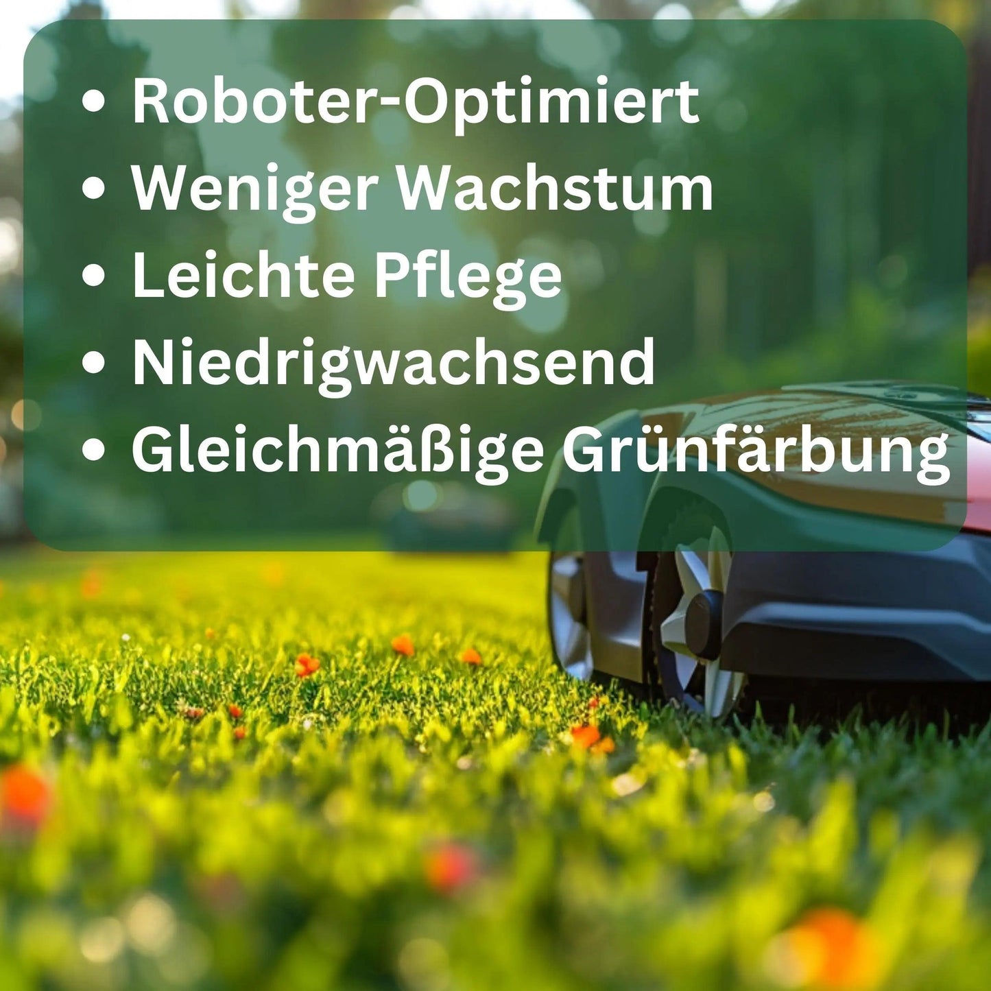 Rasensamen RoboGreen speziell für Mähroboter von Flora Boost - Flora Boost