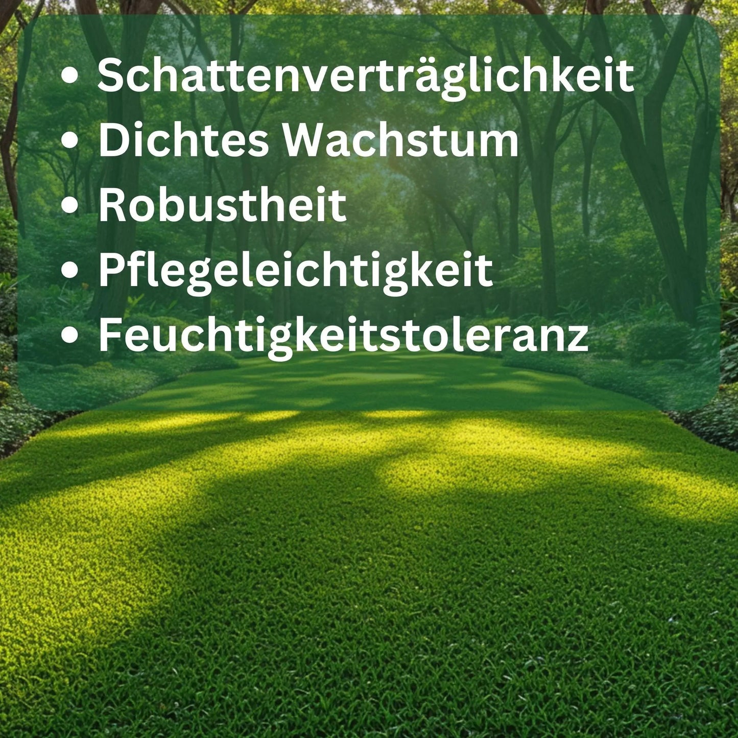 Rasensamen Schattenrasen von Flora Boost - Flora Boost