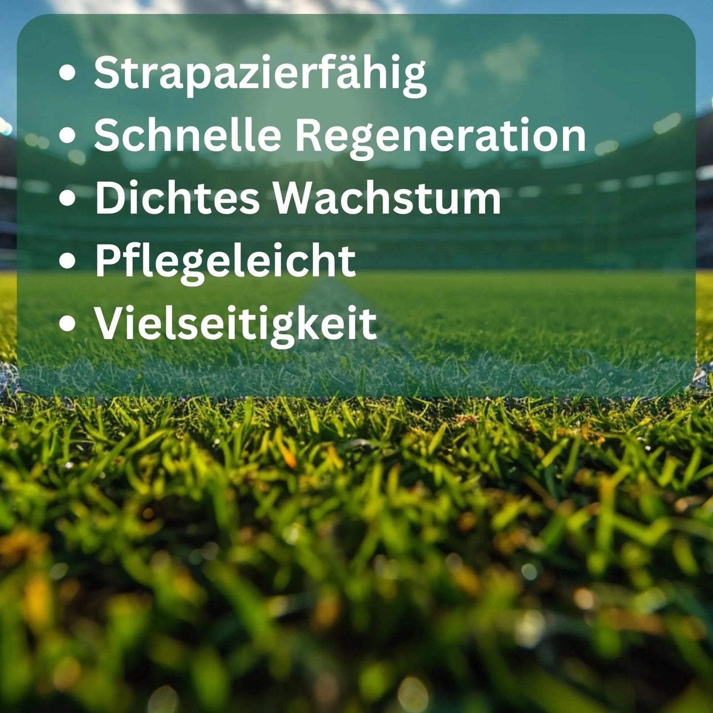 Rasensamen Sportrasen von Flora Boost - Flora Boost