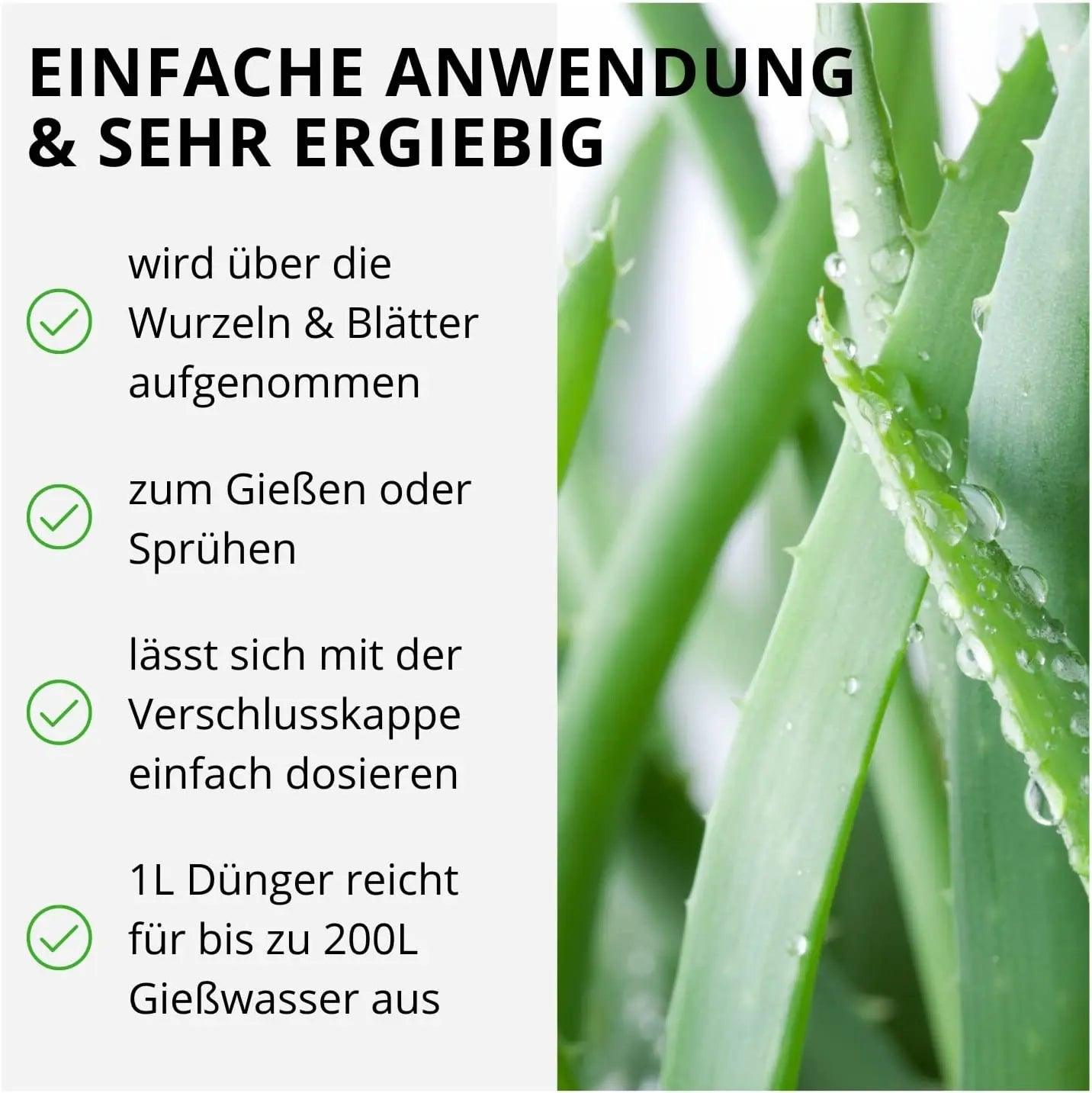 Aloe Vera Dünger von Flora Boost - Flora Boost
