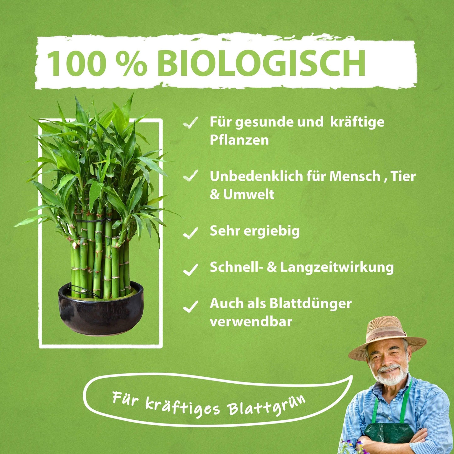Bambus Dünger Flora Boost für alle Bambuspflanzen - Flora Boost