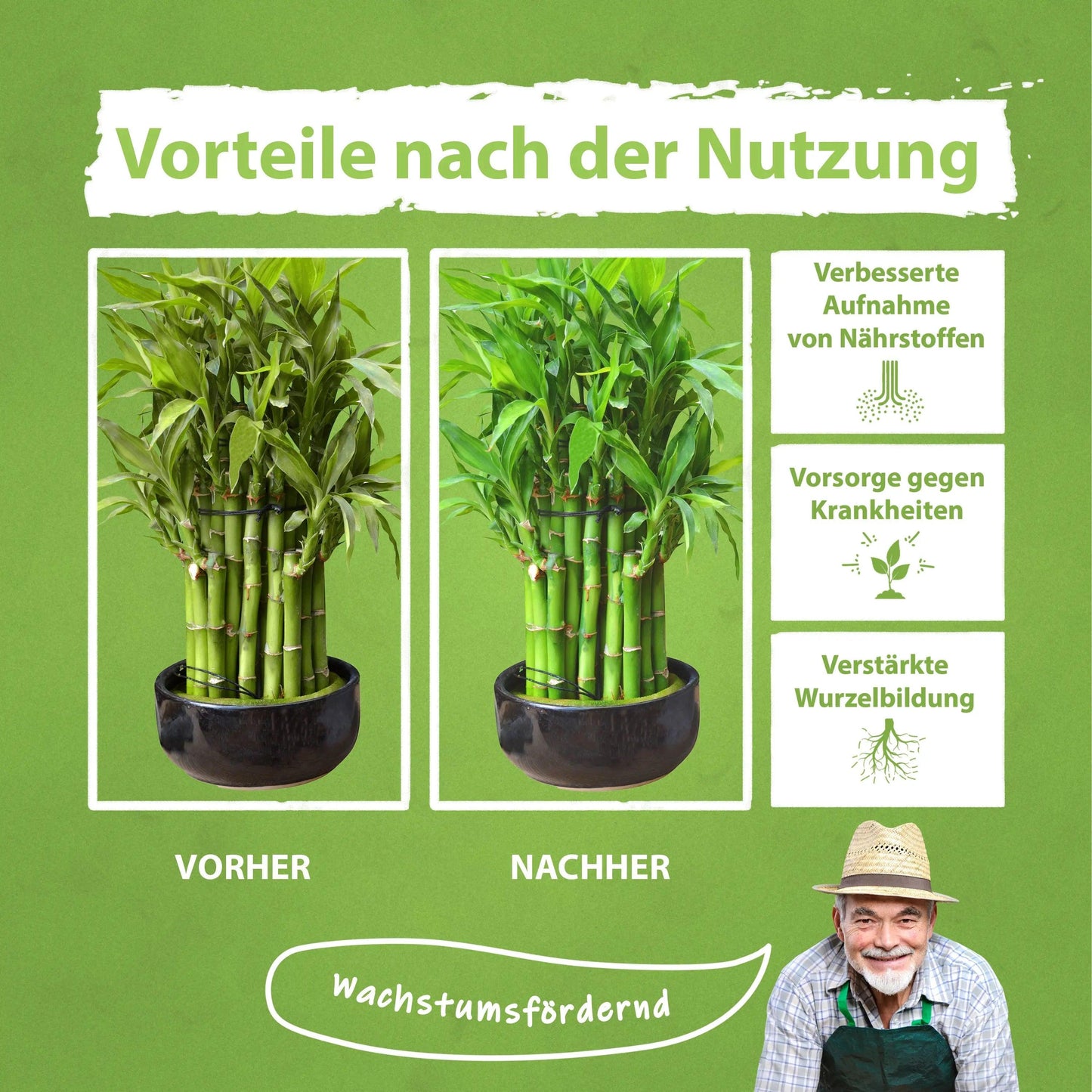 Bambus Dünger Flora Boost für alle Bambuspflanzen - Flora Boost