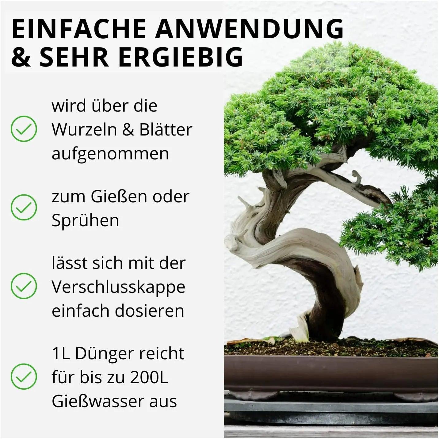 Bonsai Pflanzen Dünger von Flora Boost - Flora Boost