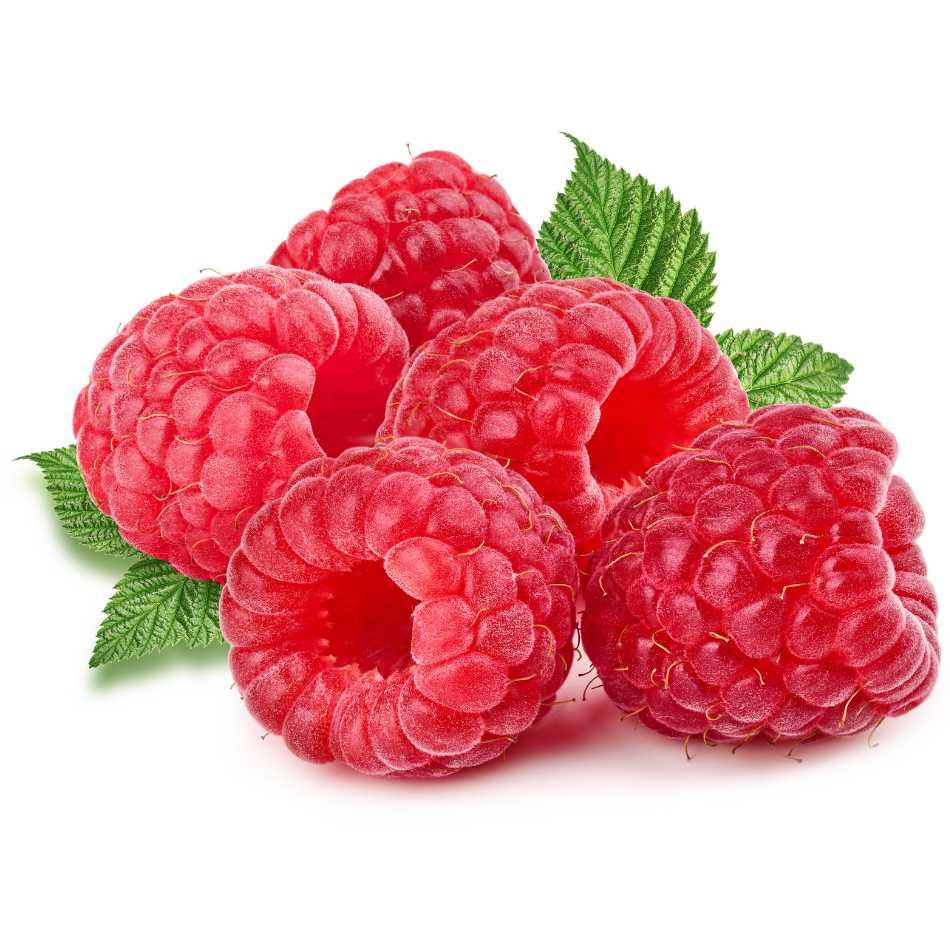 Himbeeren Pflanzen ertragreiche Sorten - Flora Boost