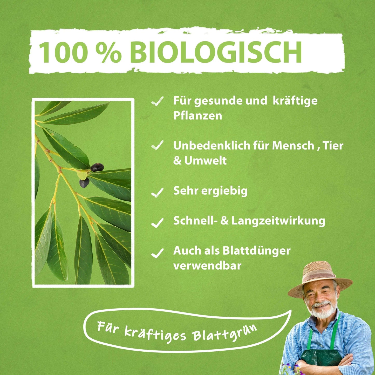 Kirschlorbeer Dünger Flüssigdünger von Flora Boost - Flora Boost