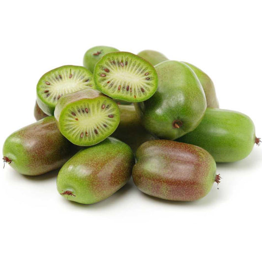 Kiwi Kiwibeere Mini-Kiwi Actinidia Issai - Flora Boost