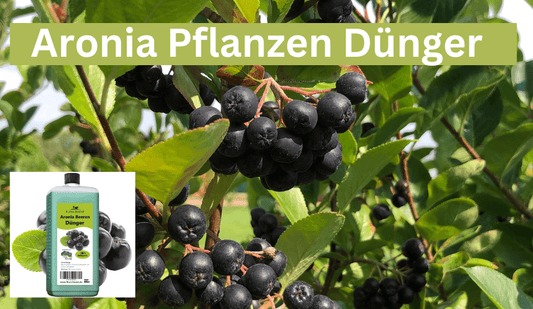 Aronia Pflanzen Dünger - Flora Boost