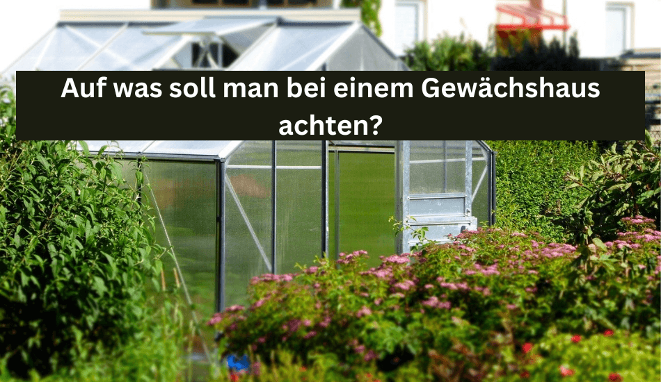 Auf was sollte man bei einem Gewächshaus achten? - Flora Boost