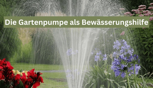 Die Gartenpumpe als Bewässerungshilfe - Flora Boost