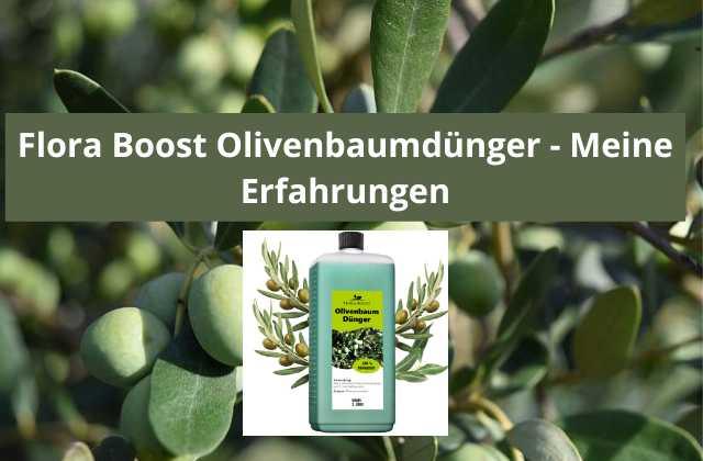 Flora Boost Olivenbaumdünger Erfahrungen - Flora Boost