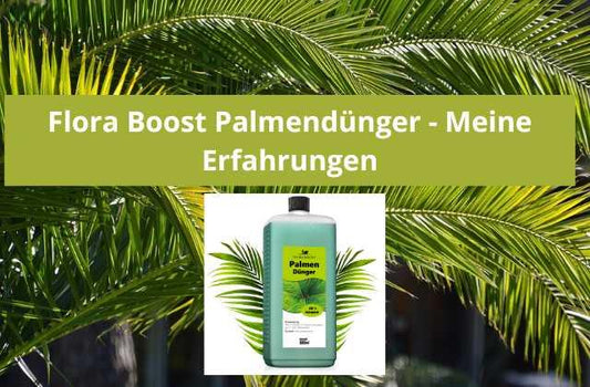 Flora Boost Palmendünger Erfahrungen - Flora Boost