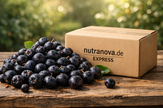 Frische Aroniabeeren kaufen: Bio-Qualität direkt vom Erzeuger