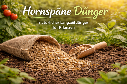 Hornspäne – natürlicher Langzeitdünger für Gartenpflanzen