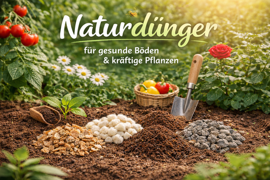 Naturdünger – natürliche Pflanzennahrung für gesunde Böden und kräftige Pflanzen
