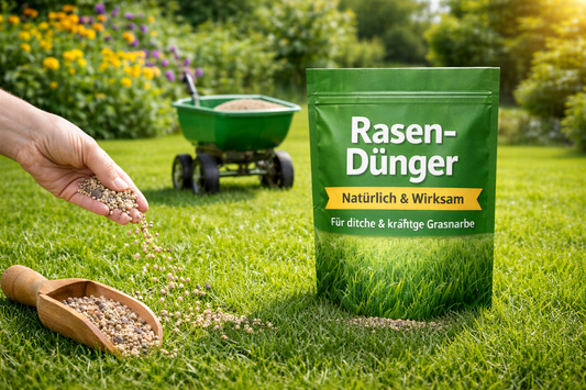Rasen richtig düngen – Tipps für einen dichten und gesunden Rasen - Flora Boost