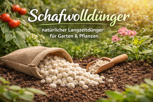 Schafwolldünger – natürlicher Langzeitdünger für Garten und Pflanzen