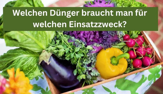 Welchen Pflanzendünger braucht man für welchen Einsatzzweck? - Flora Boost