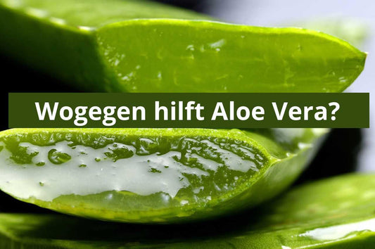 Wogegen hilft Aloe Vera - Flora Boost