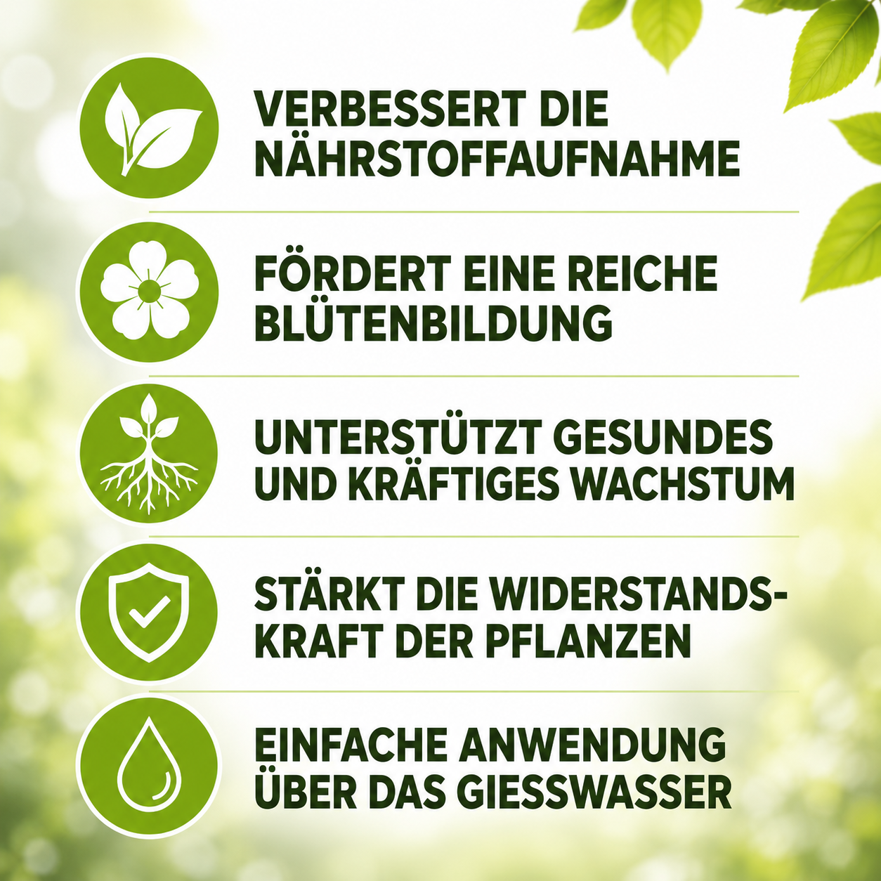 Fünf Vorteile des Flora Boost Balkonpflanzendüngers: bessere Nährstoffaufnahme, reiche Blütenbildung, kräftiges Wachstum, höhere Widerstandskraft und einfache Anwendung über das Gießwasser.