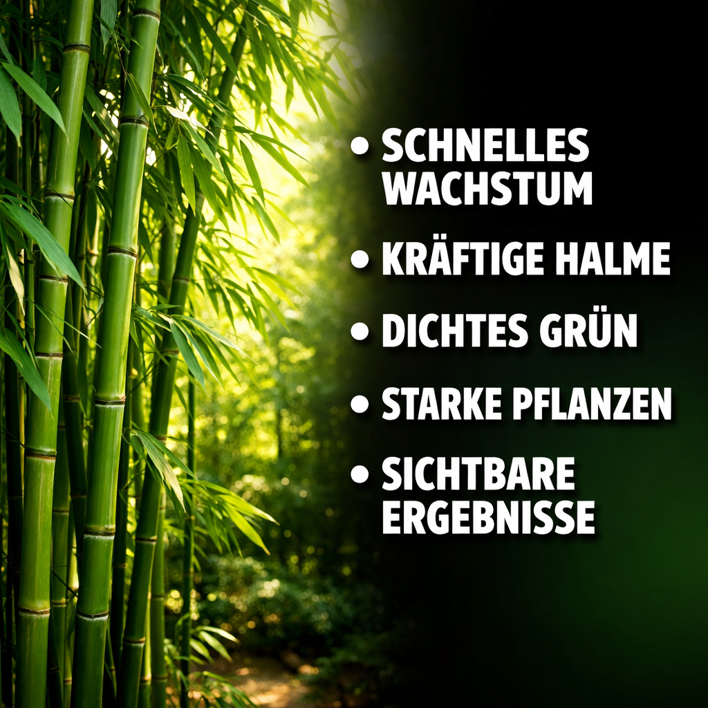 bambus düngen ab wann Bambus Dünger Flora Boost für gesunde und prächtige Bambuspflanzen