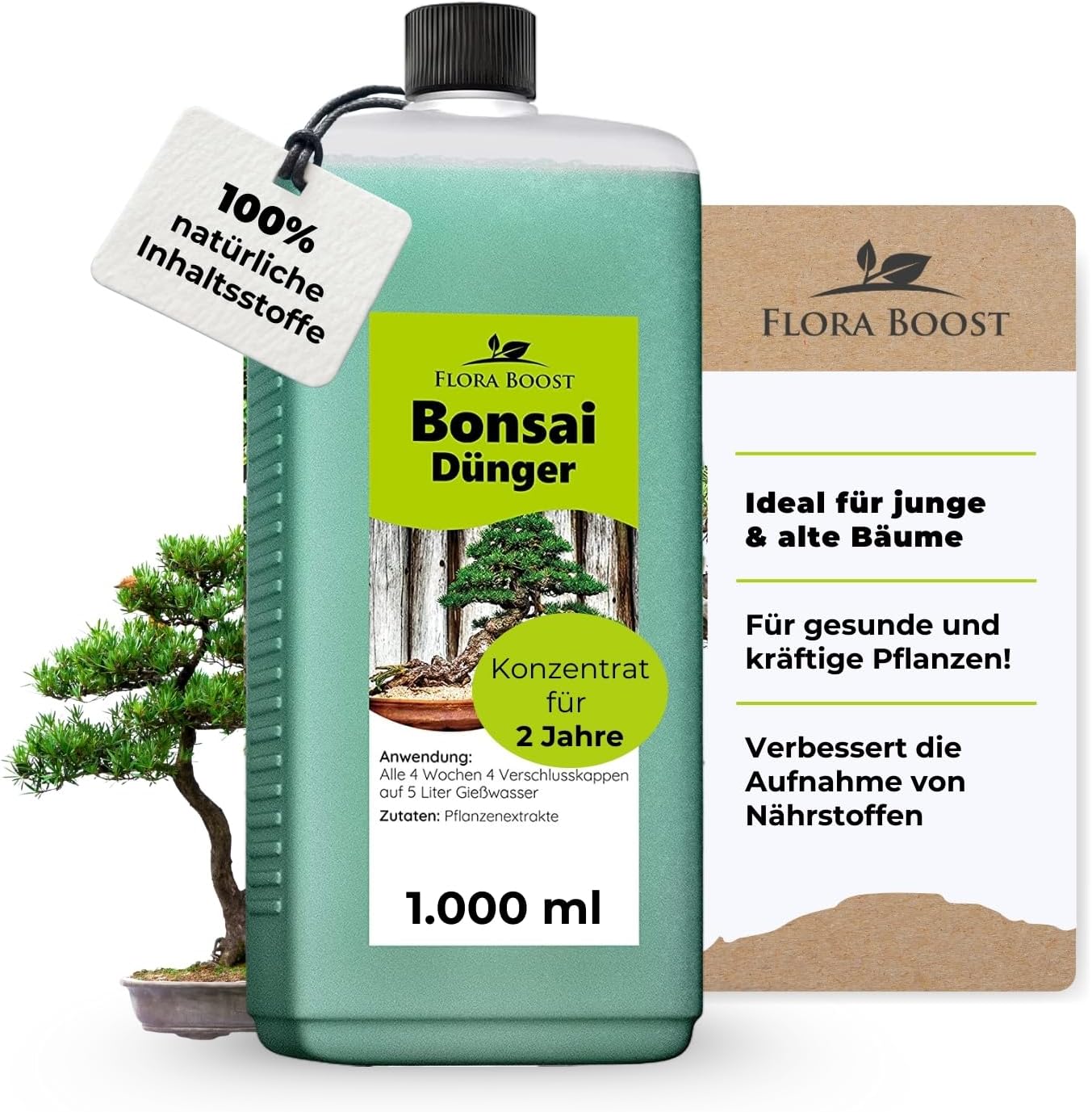Gesunder Bonsai mit frischem Blattwerk und ausgewogener Nährstoffversorgung