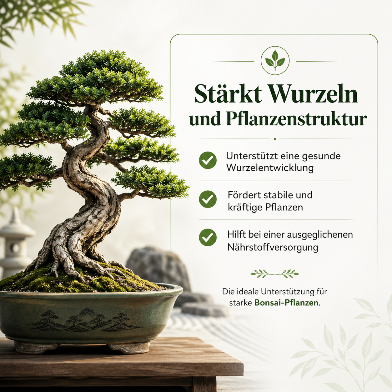 Bonsai Dünger von Flora Boost