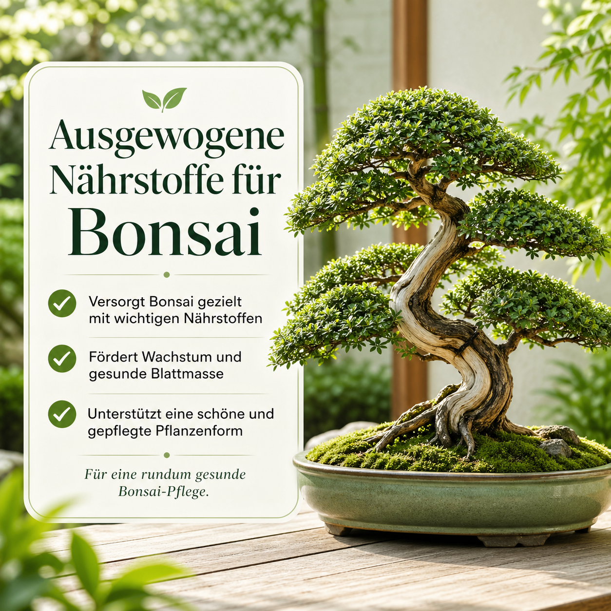Bonsai Dünger von Flora Boost für gesundes Wachstum und vitale Pflanzen