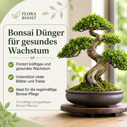 Kleiner Bonsai Baum im Topf für Garten Terrasse Balkon und Innenbereich