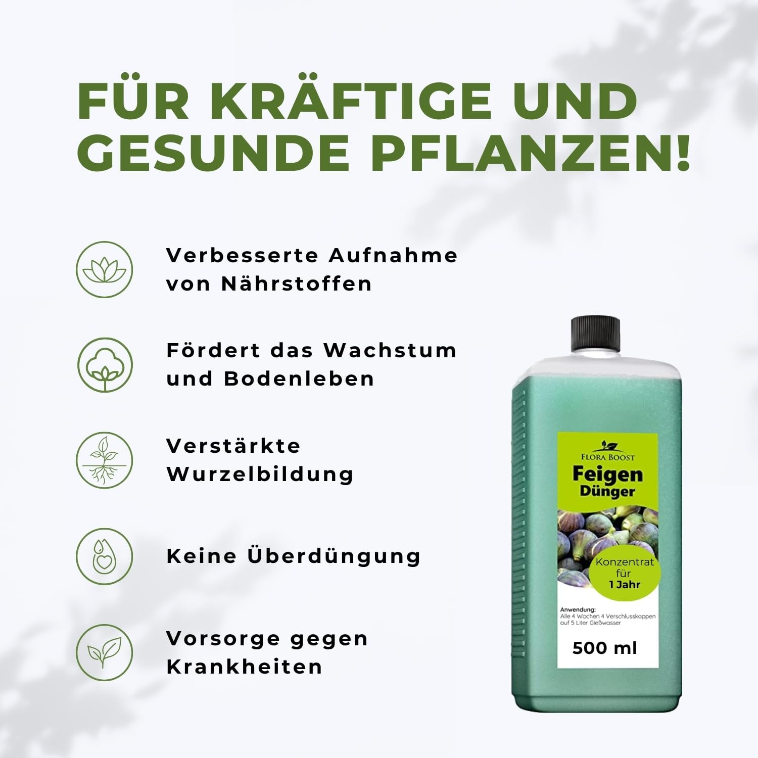 Feigenbaum Dünger von Flora Boost für gesunde Obstbäume