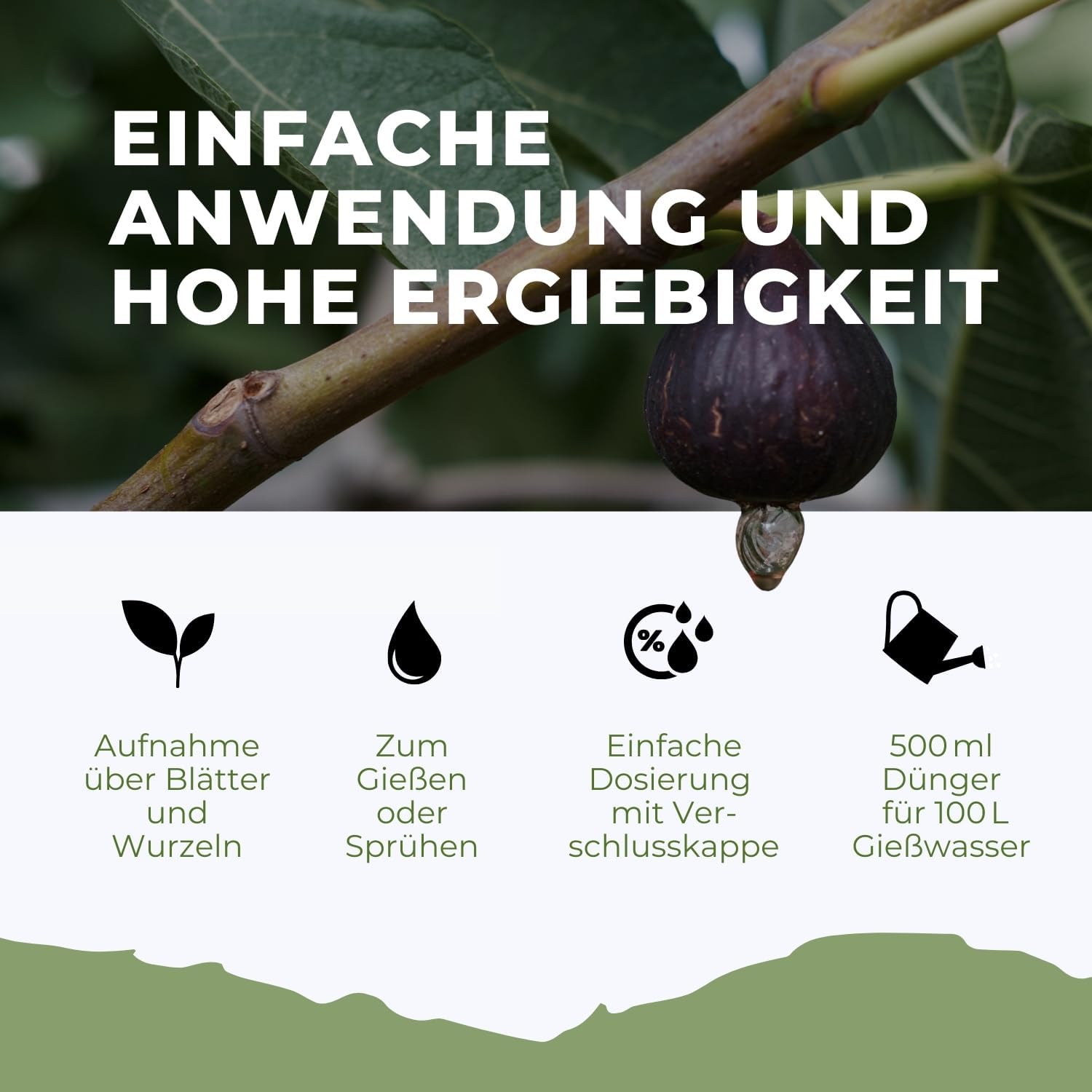 Feigenbaum Dünger von Flora Boost für gesunde Obstbäume
