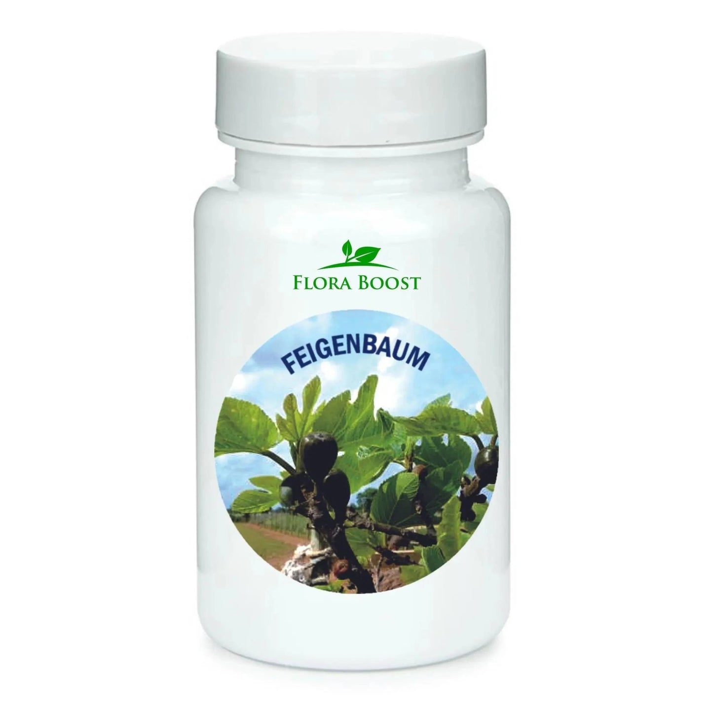 Feigenbaum Dnger Pulver von Flora Boost fr gesunde Feigenstrucher