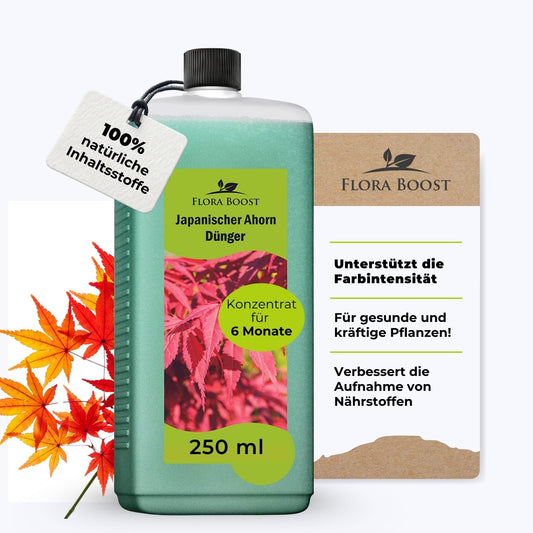 Japanischer Ahorn Fächerahorn Dünger von Flora Boost