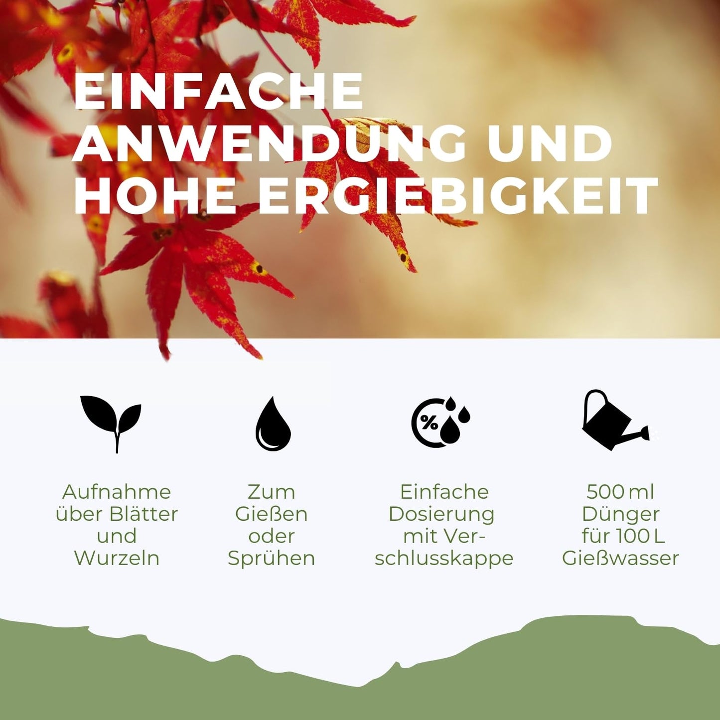 Japanischer Ahorn Fächerahorn Dünger von Flora Boost Flüssigdünger - Flora Boost