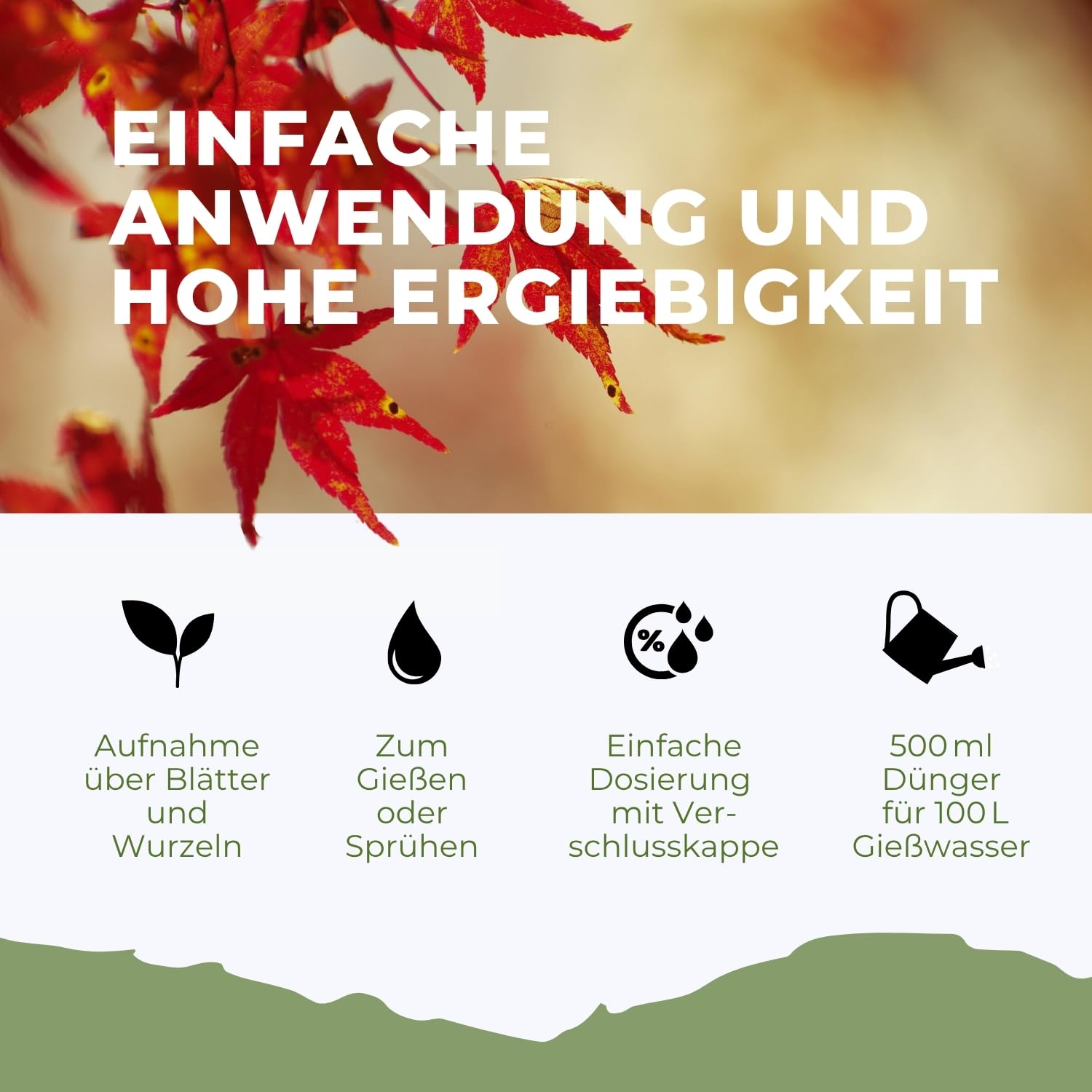 Japanischer Ahorn Fächerahorn Dünger von Flora Boost Flüssigdünger - Flora Boost