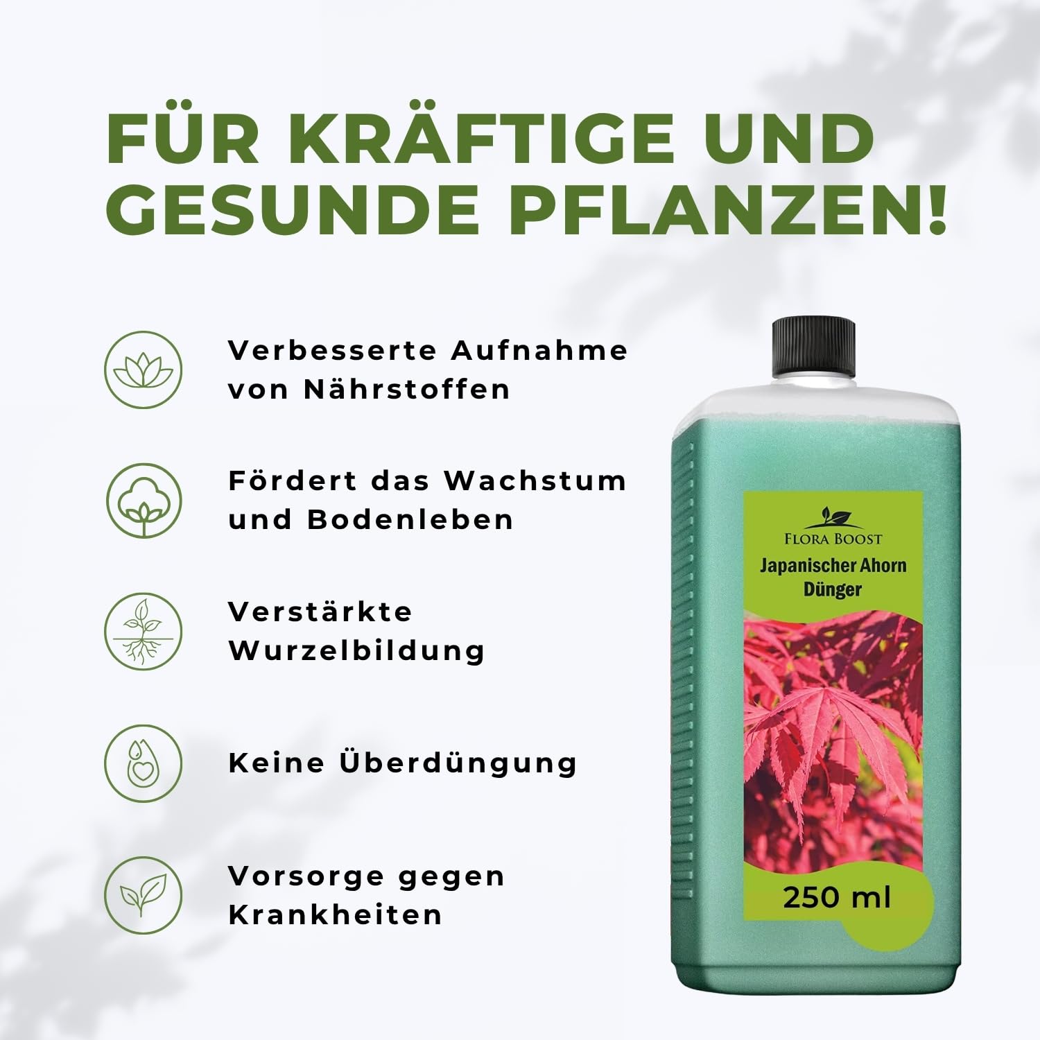 Japanischer Ahorn Dünger von Flora Boost für gesunde Fächerahorn-Pflanzen