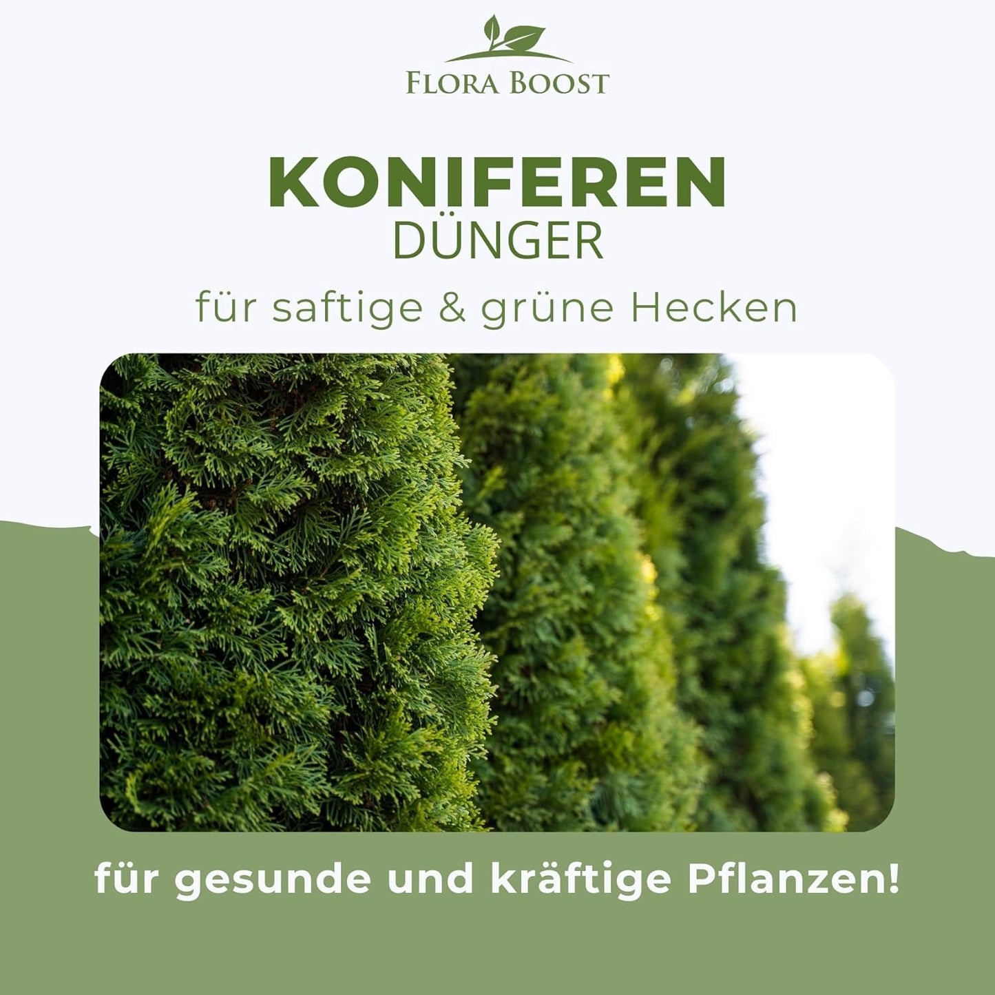 Koniferen Dünger von Flora Boost Flüssigdünger - Flora Boost