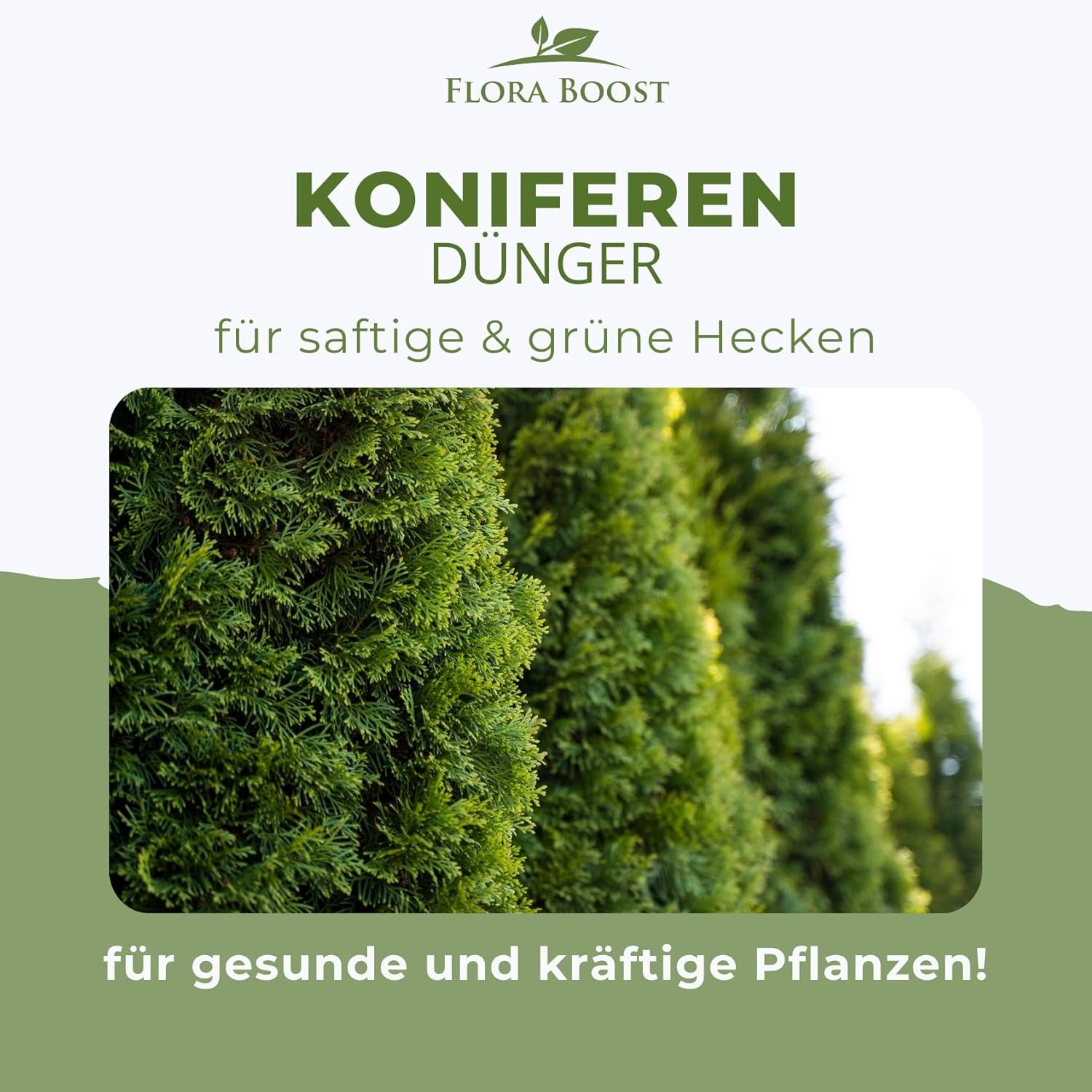 Koniferen Dünger von Flora Boost Flüssigdünger - Flora Boost
