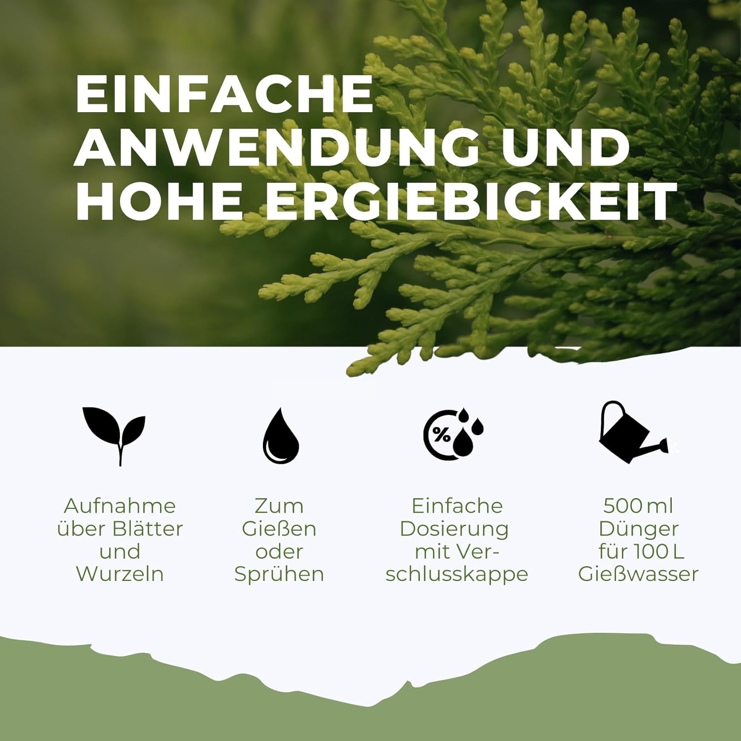 Koniferen Dünger von Flora Boost Flüssigdünger - Flora Boost