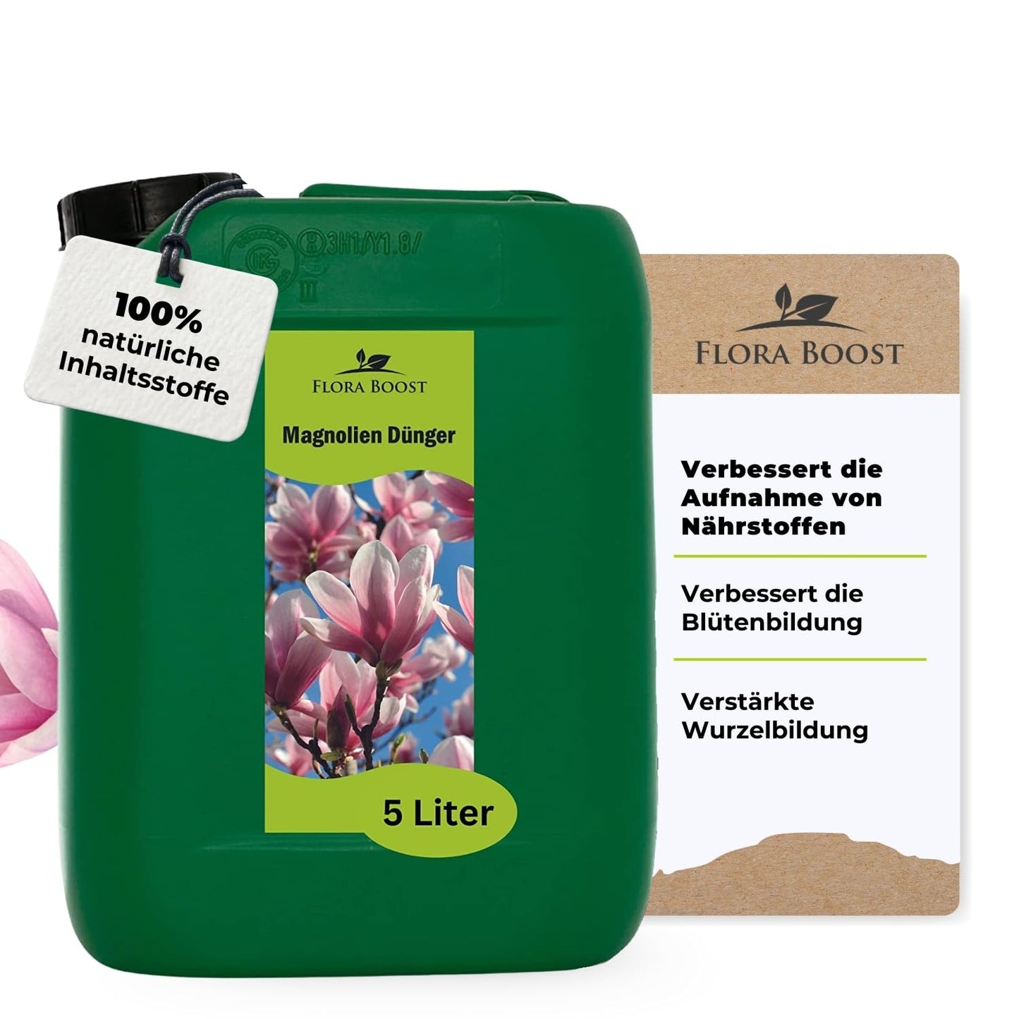 Magnolienblüte im Garten mit frischem Grün und natürlicher Blütenpracht