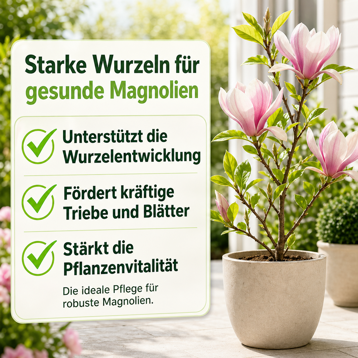Magnolien Dünger von Flora Boost