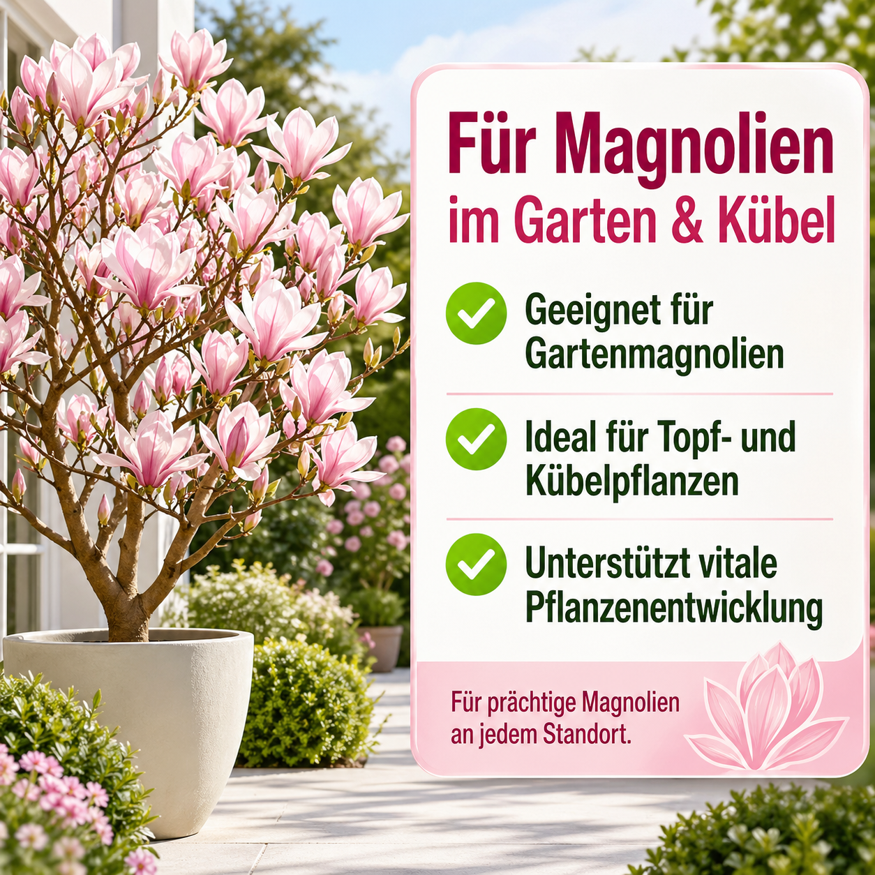 Magnolien Dünger von Flora Boost